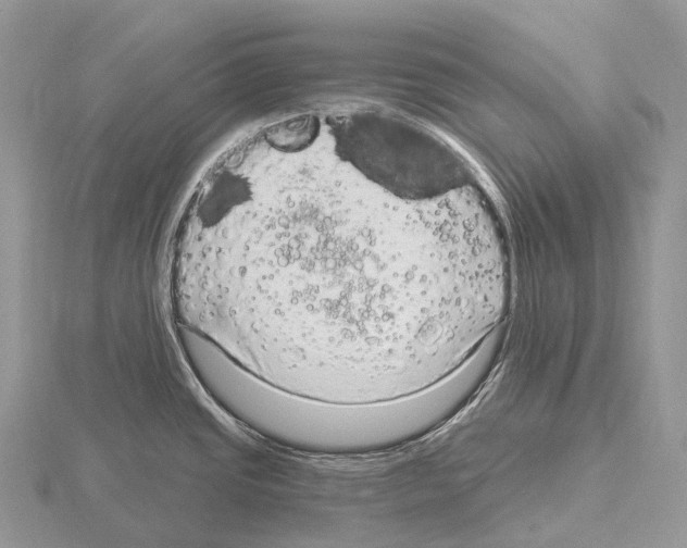 X0000115161437200912081358