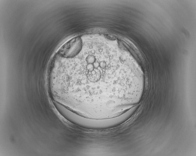 X0000115161438200912081358