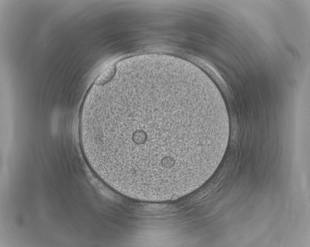 X0000115161439200912081358