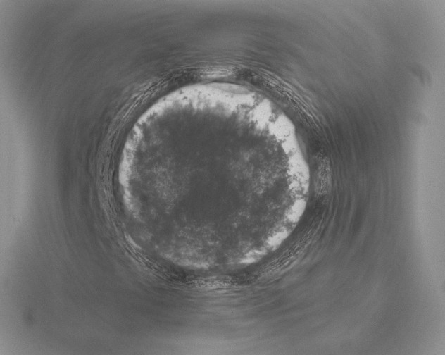 X0000115161441200912081358