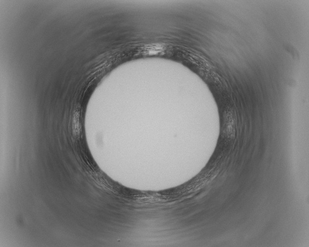 X0000115161442200912081358