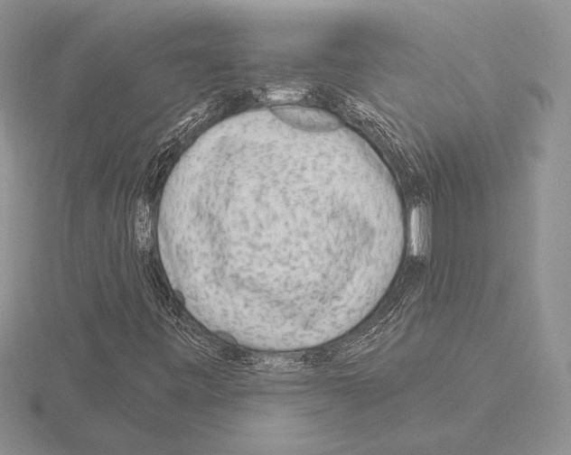 X0000115161443200912081358