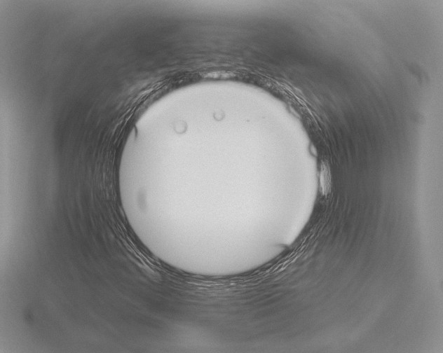 X0000115161444200912081358