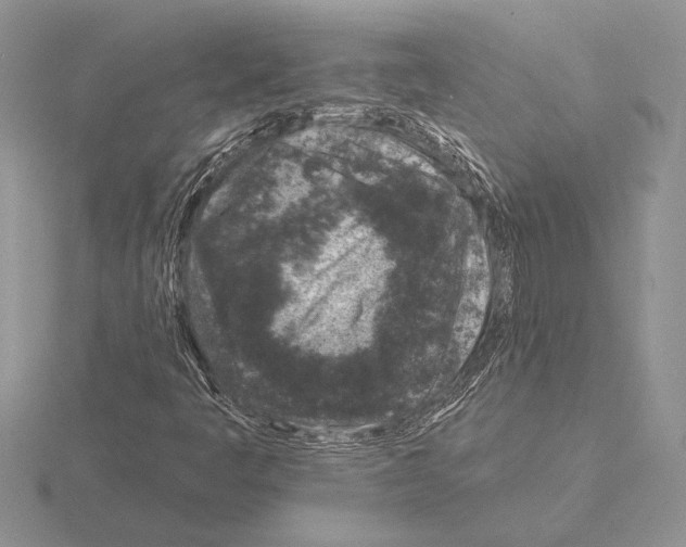 X0000115161445200912081358