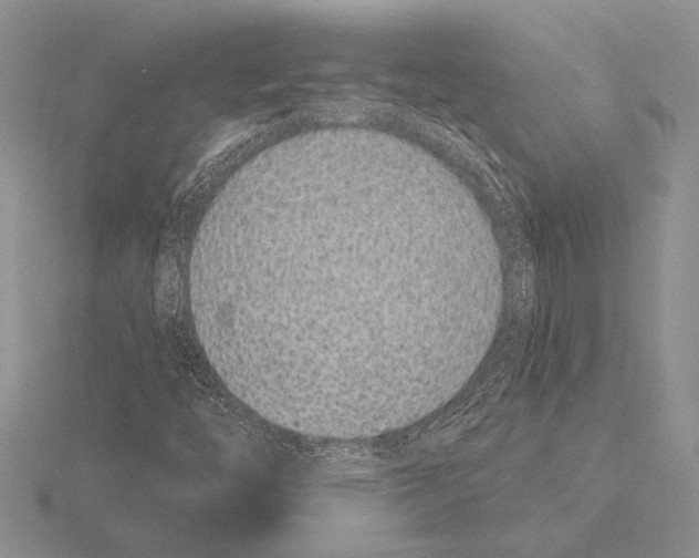 X0000115161446200912081358