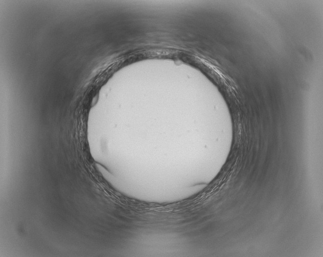 X0000115161447200912081358