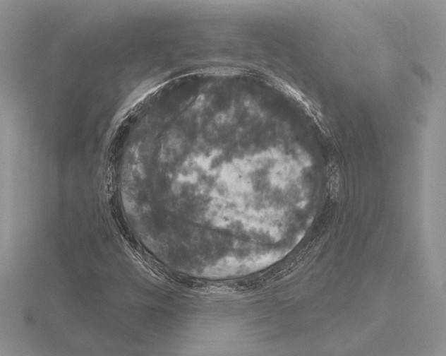 X0000115161448200912081358