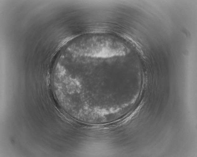 X0000115161449200912081358