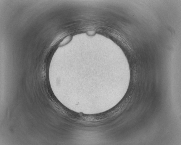 X0000115161450200912081358