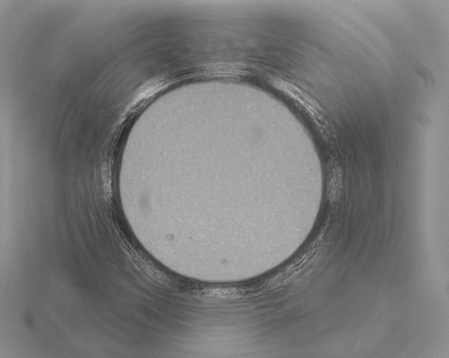 X0000115161451200912081358