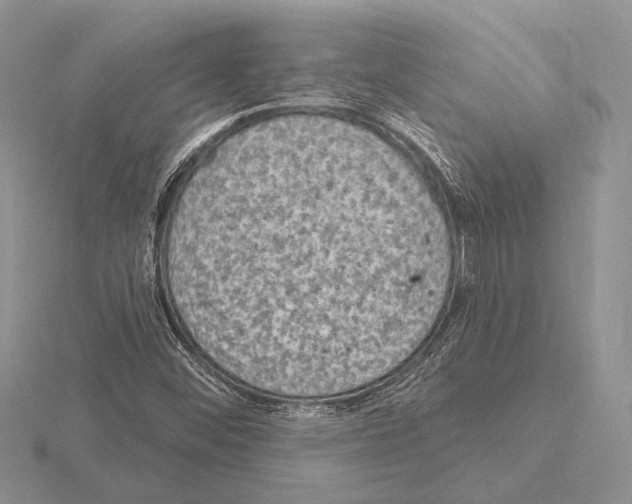 X0000115161452200912081358