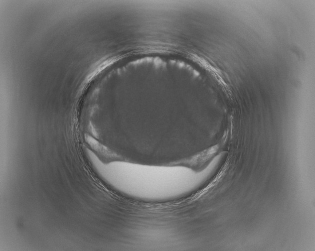 X0000115161453200912081358