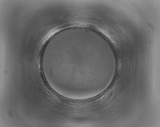 X0000115161455200912081358