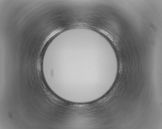 X0000115161458200912081358