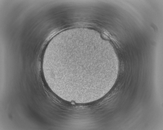 X0000115161459200912081358