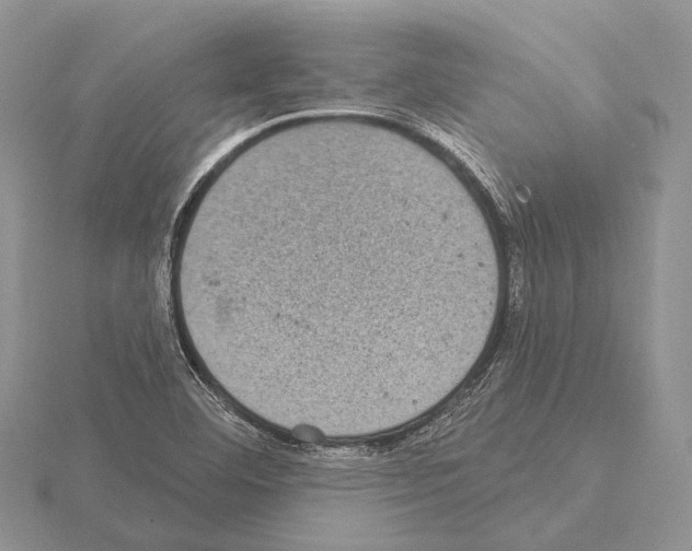 X0000115161460200912081358