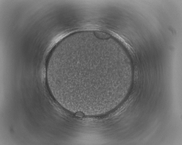 X0000115161461200912081358