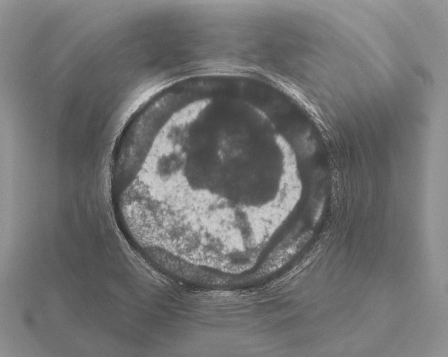 X0000115161463200912081357