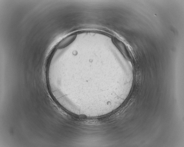 X0000115161464200912081357