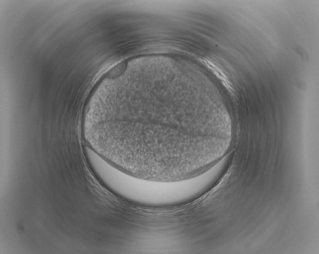 X0000115161465200912081357