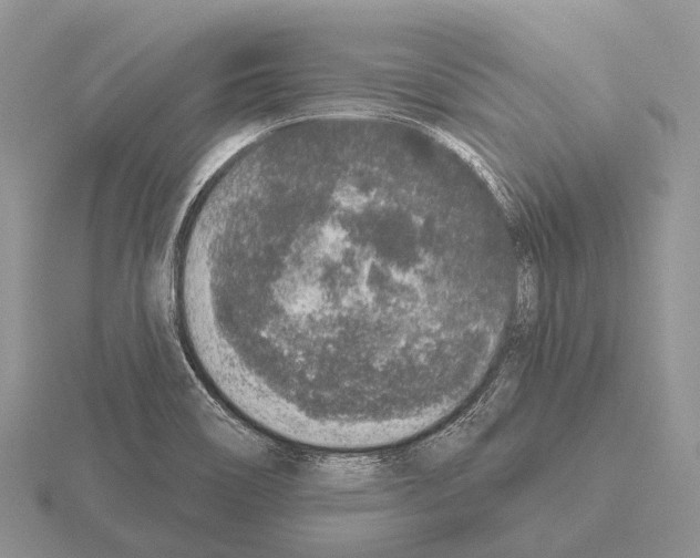 X0000115161466200912081357