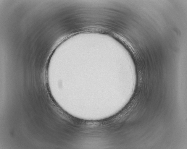 X0000115161467200912081357