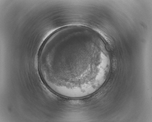 X0000115161468200912081357