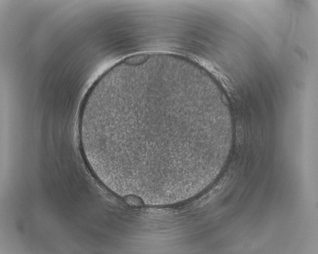 X0000115161469200912081357