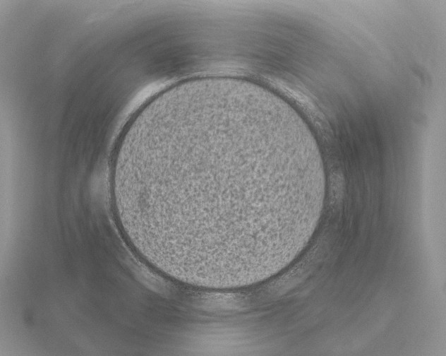 X0000115161470200912081357