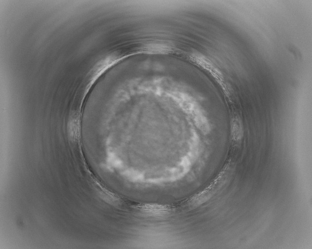 X0000115161473200912081357