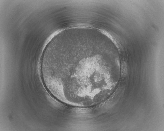 X0000115161474200912081357