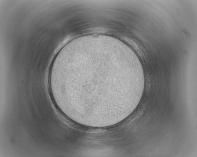 X0000115161475200912081357