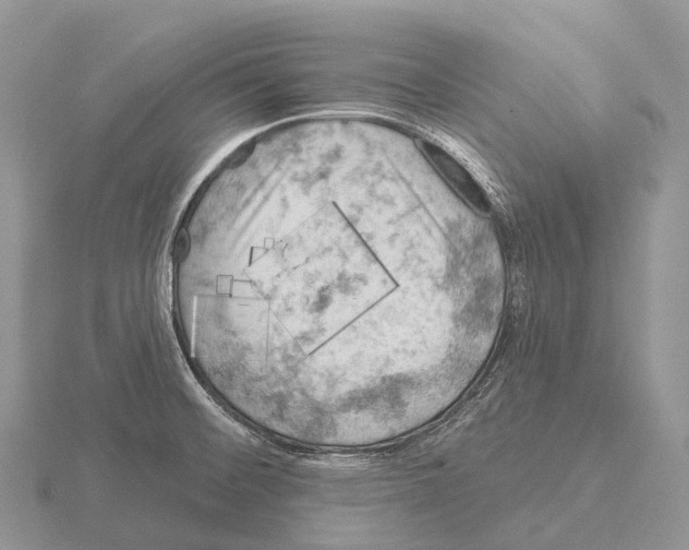 X0000115161476200912081357