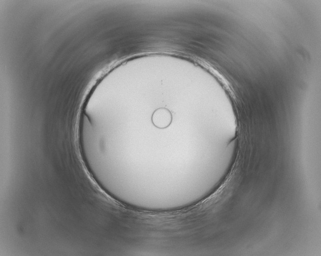 X0000115161477200912081357