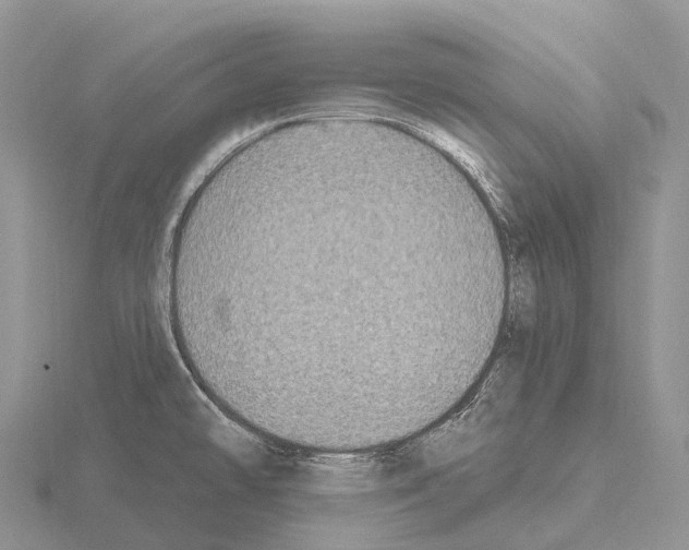 X0000115161478200912081357