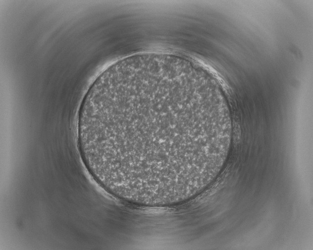 X0000115161479200912081357