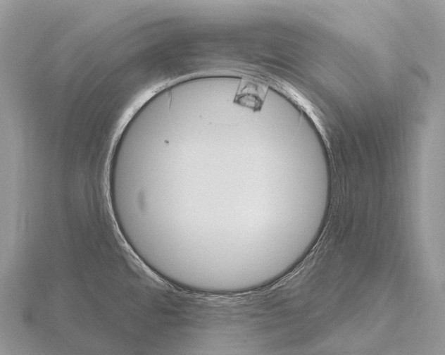 X0000115161480200912081357