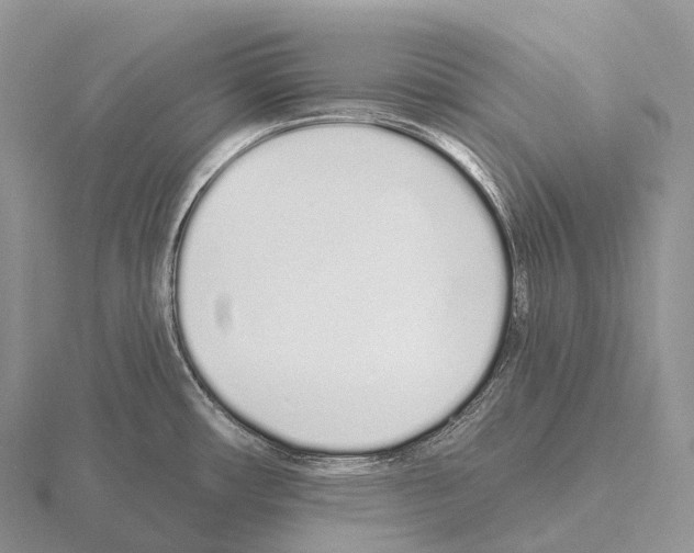 X0000115161482200912081357