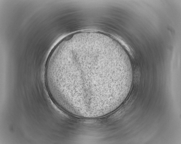 X0000115161484200912081357