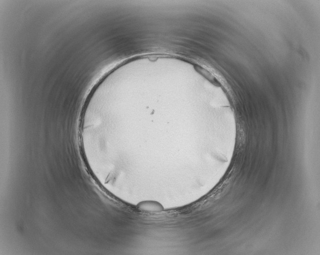 X0000115161485200912081357