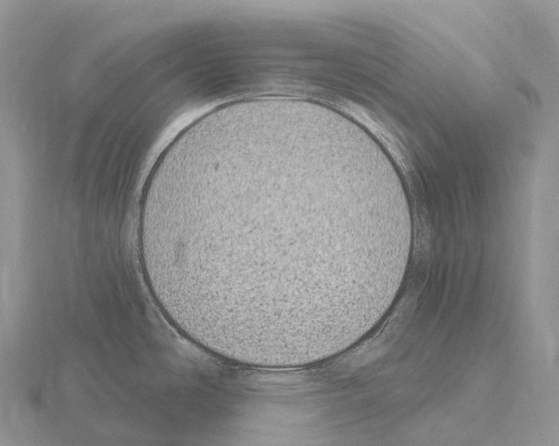 X0000115161486200912081357