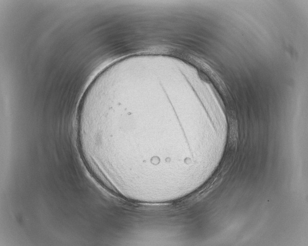 X0000115161487200912081357