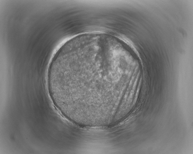 X0000115161488200912081357