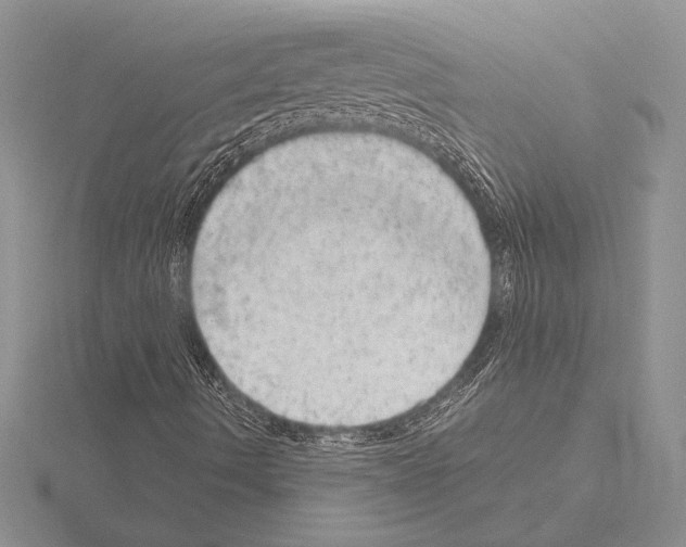 X0000115161490200912081356