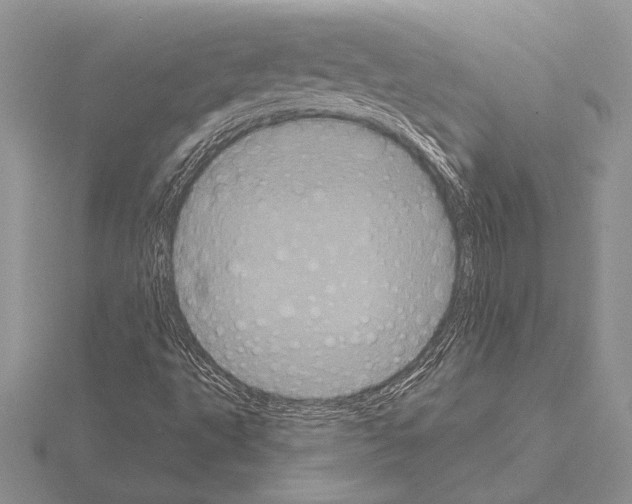 X0000115161495200912081356