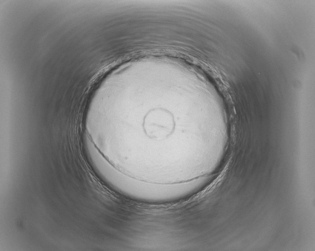 X0000115161497200912081356