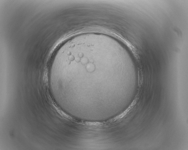 X0000115161498200912081356