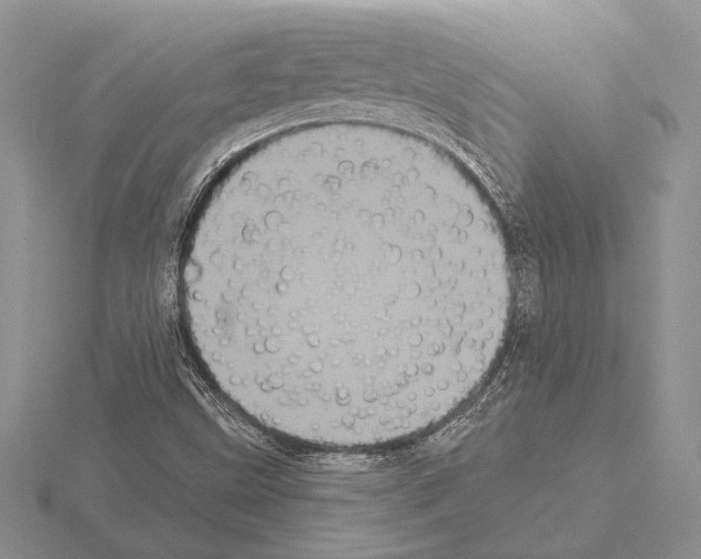 X0000115161499200912081357