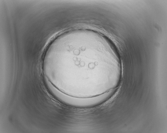 X0000115161501200912081357