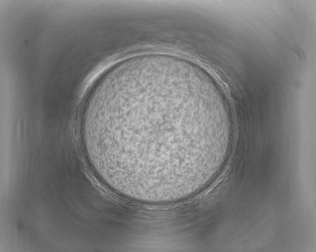 X0000115161503200912081357